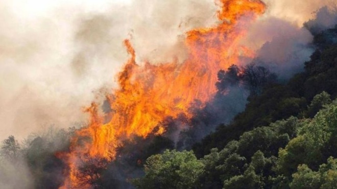 τωρα-φωτιά-στο-μαρκόπουλο-60640