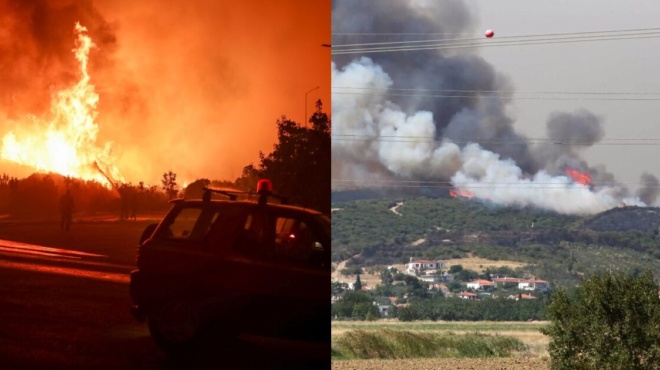 συγκλονίζει-μελισσοκόμος-απο-τη-φωτι-169722