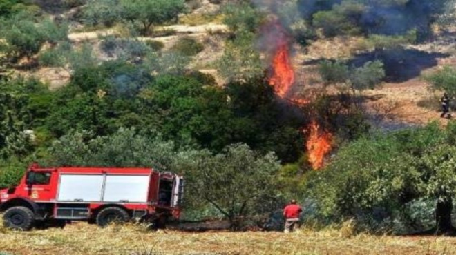 φωτιά-τώρα-στην-κρήτη-καίγεται-χορτολ-230159