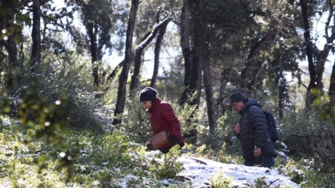 έρχεται-ο-χειμώνας-σύμφωνα-τον-χατζηγ-228159