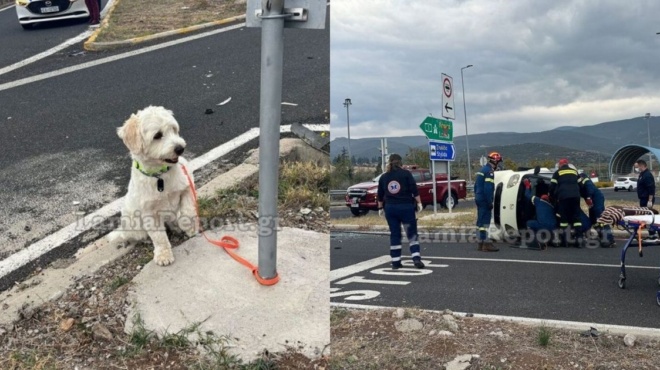 λαμία-νεκρός-54χρονος-σε-τροχαίο-το-σκ-227097